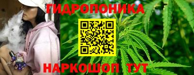 стаф Рязань